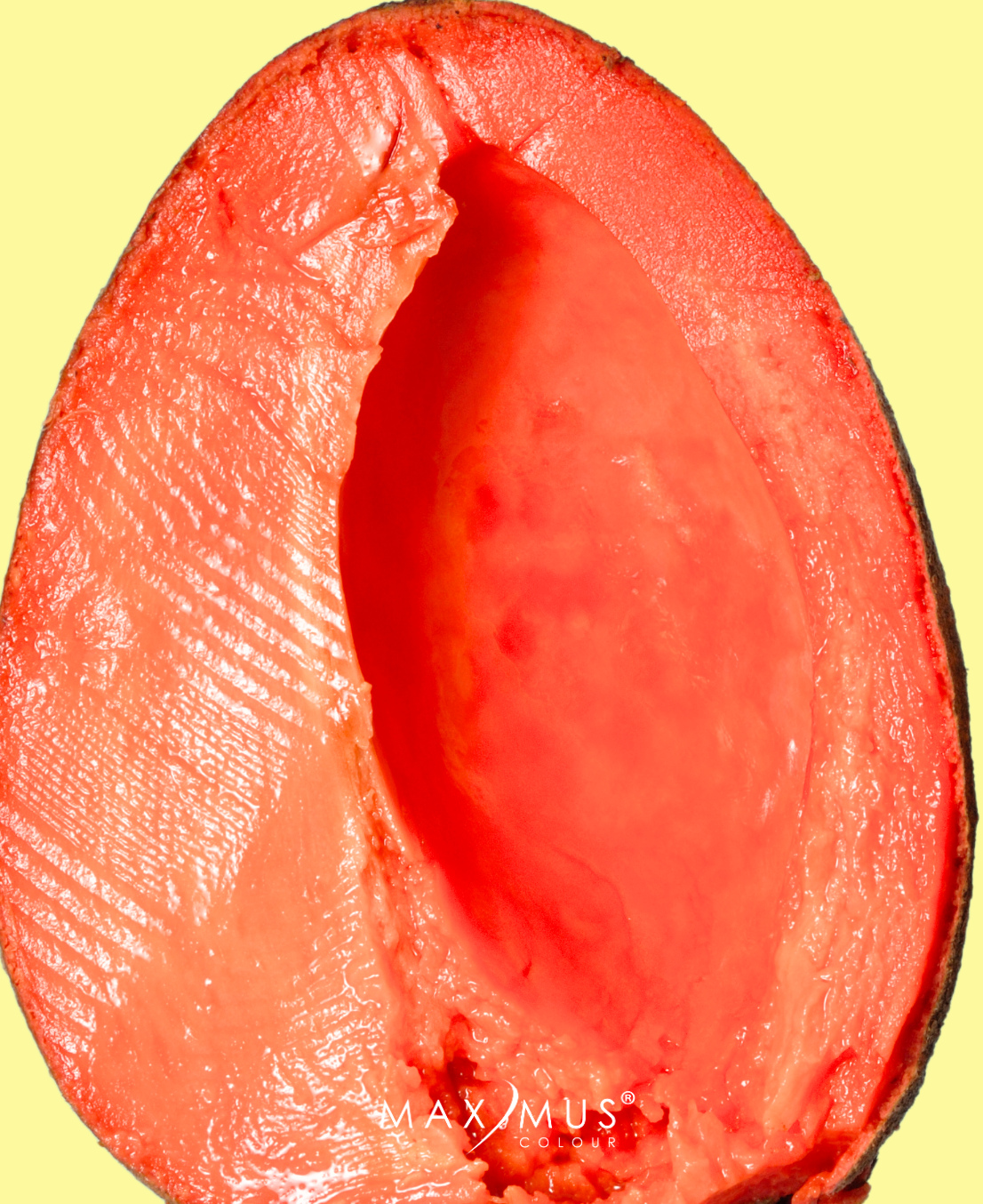 Rimel ESTIMULADOR DE CRECIMIENTO con Aceite de hueso de Mamey y microfibras Max/Mus Colour