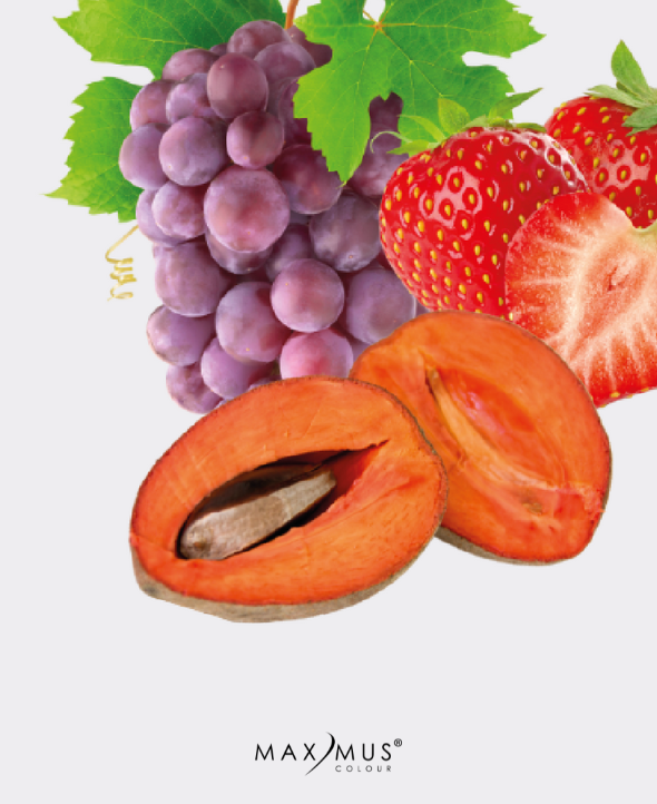 Rimel tecnología Extra Large con aceites Frutales y microfibras
