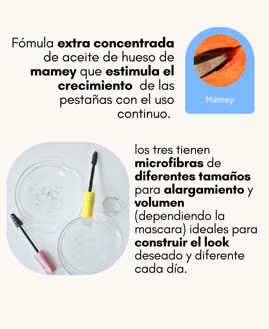 Trío Esenciales - Ritual de Pestañas Despierta tu mirada - Maximus Colour